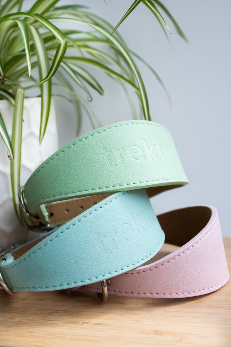 Powder Pink Sighthound Collar