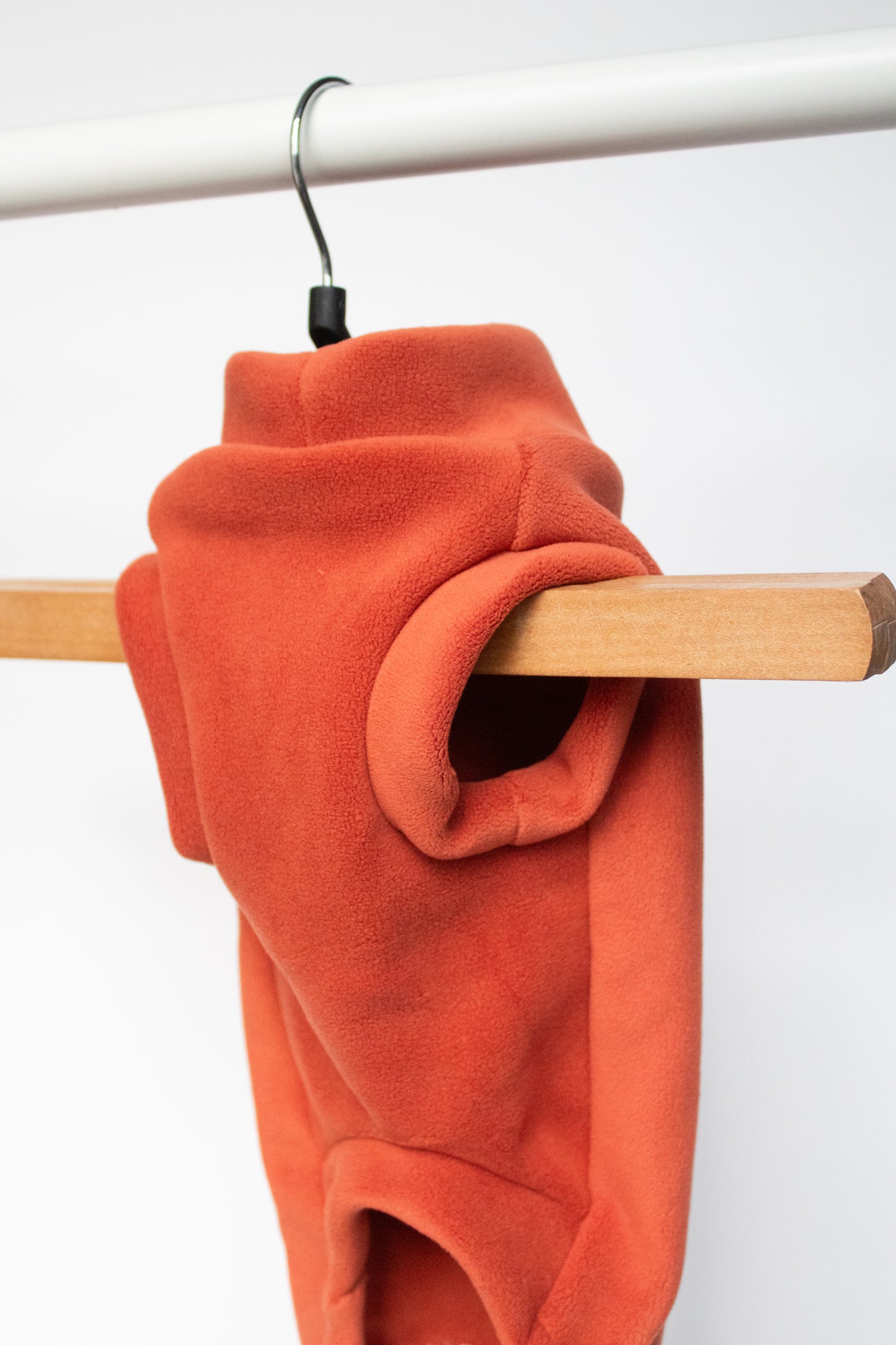 Seconds - Dachshunds Fleeces