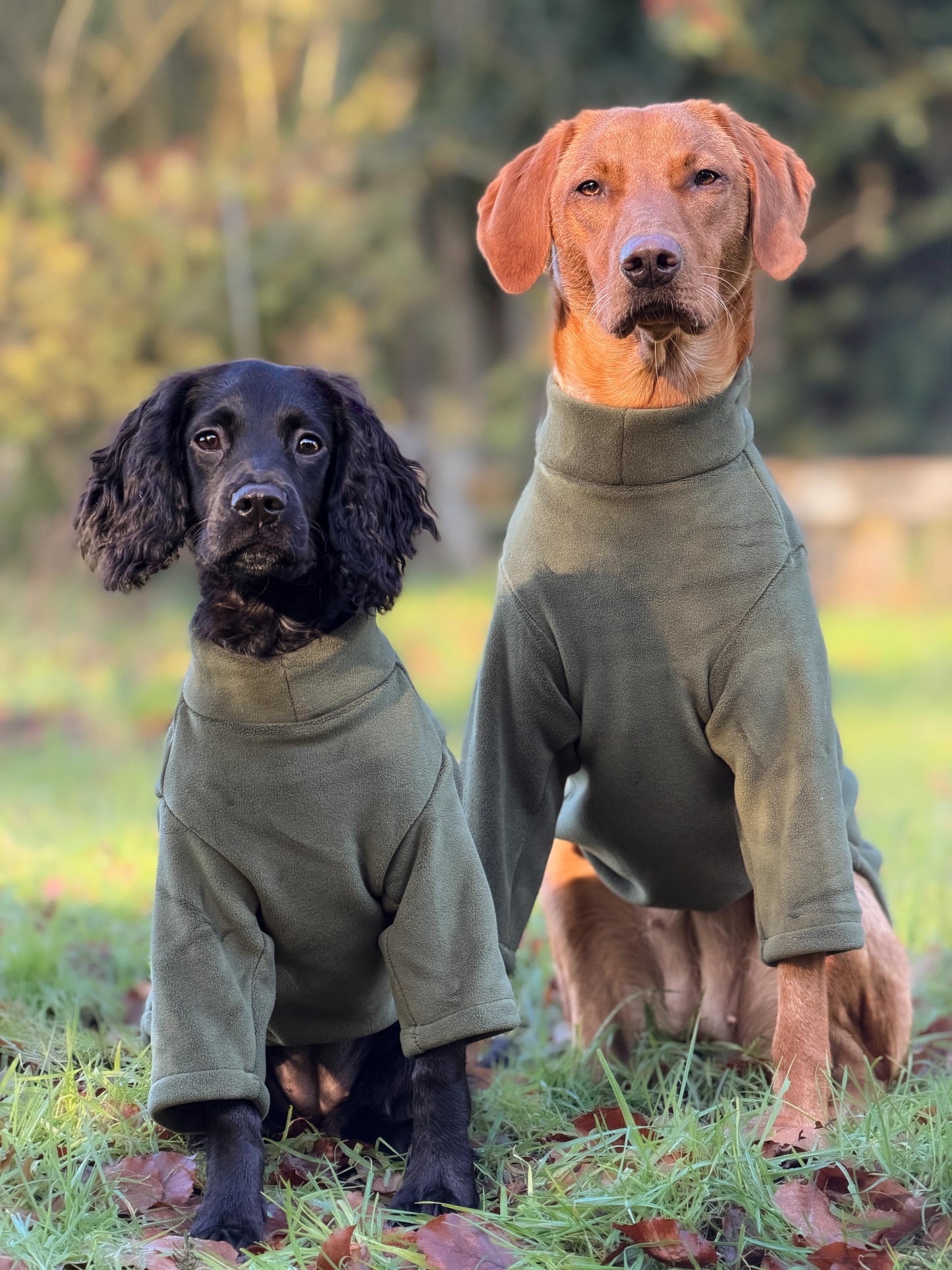 2 Leg Dog Fleece Pine Green