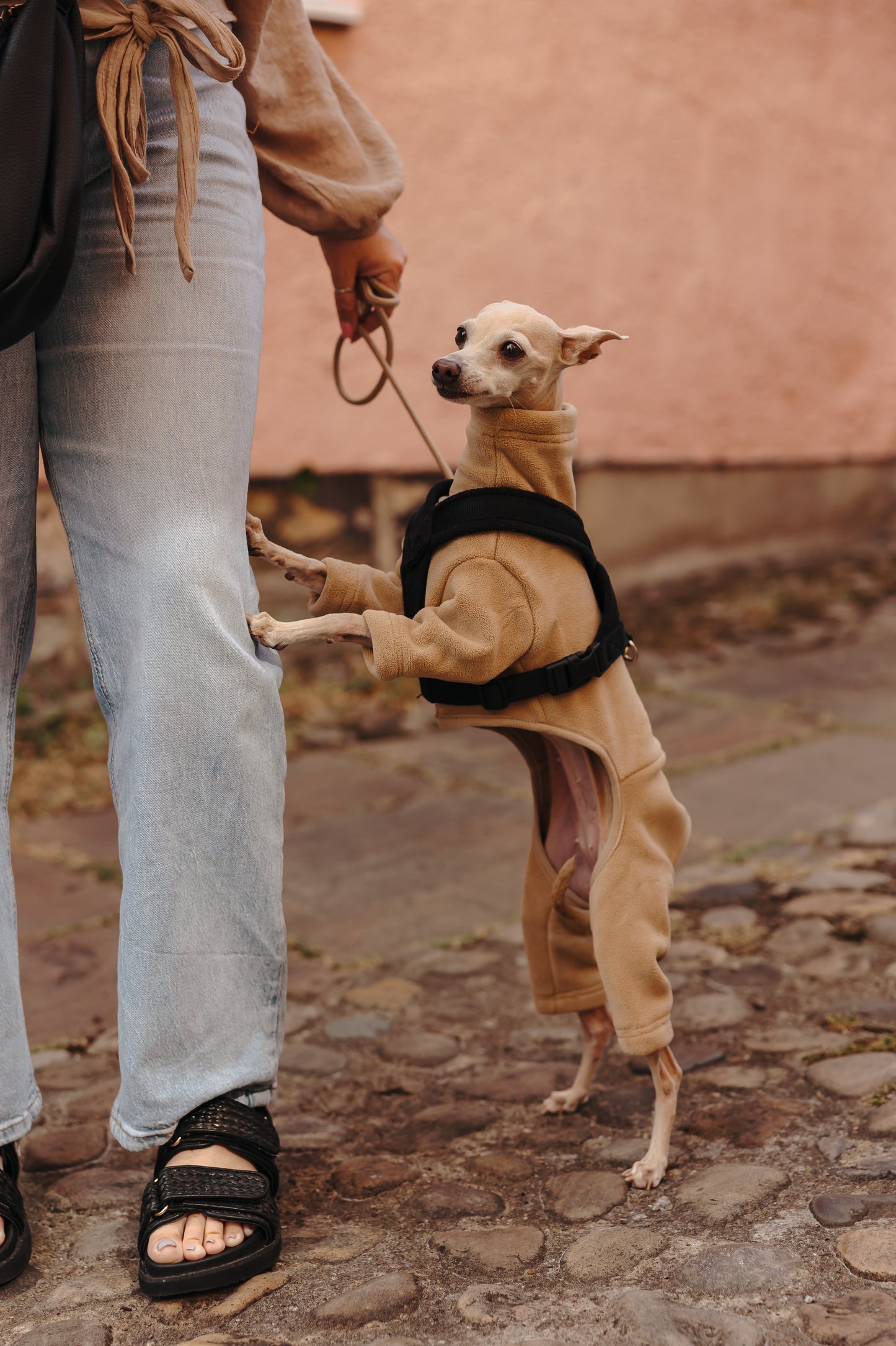 Italian Greyhound & Whippet Fleece Latte