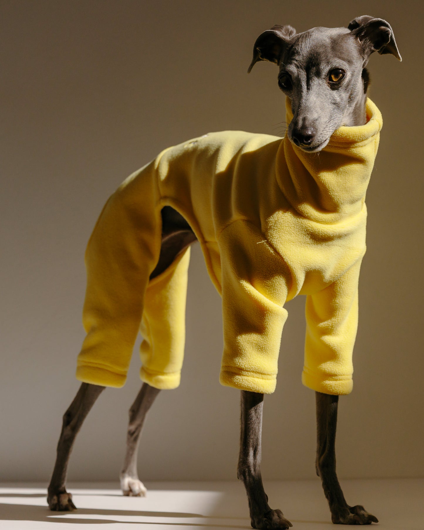 Italian Greyhound & Whippet Fleece Limoncello