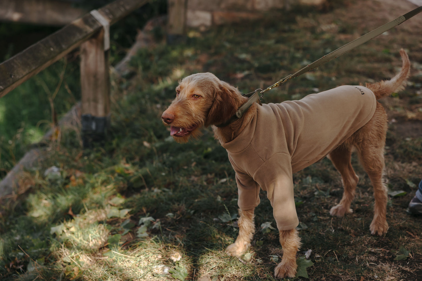 2 Leg Dog Fleece Latte