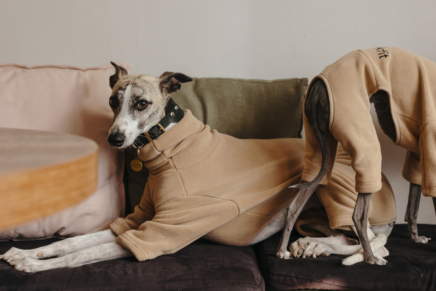 Italian Greyhound & Whippet Fleece Latte