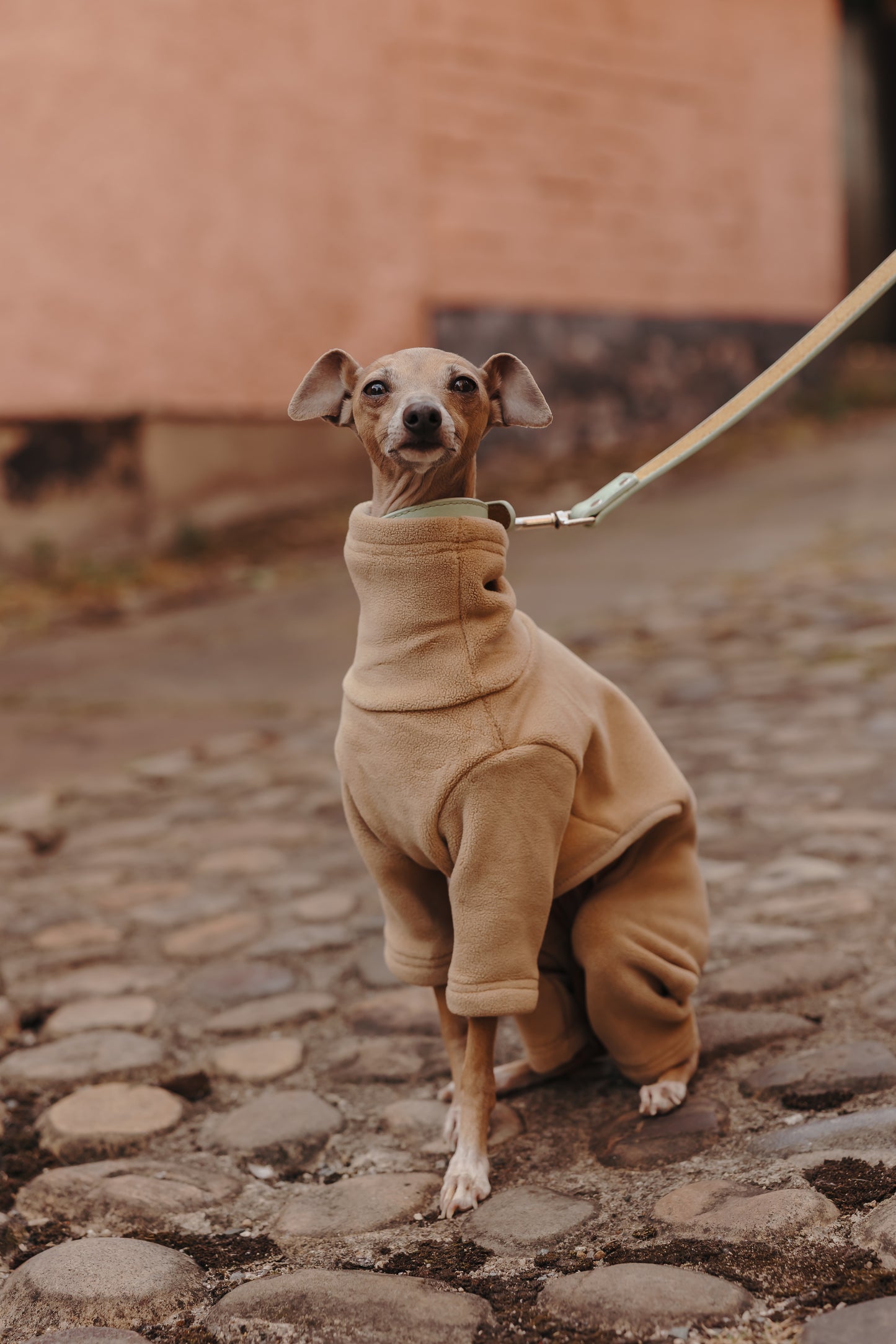 Italian Greyhound & Whippet Fleece Latte