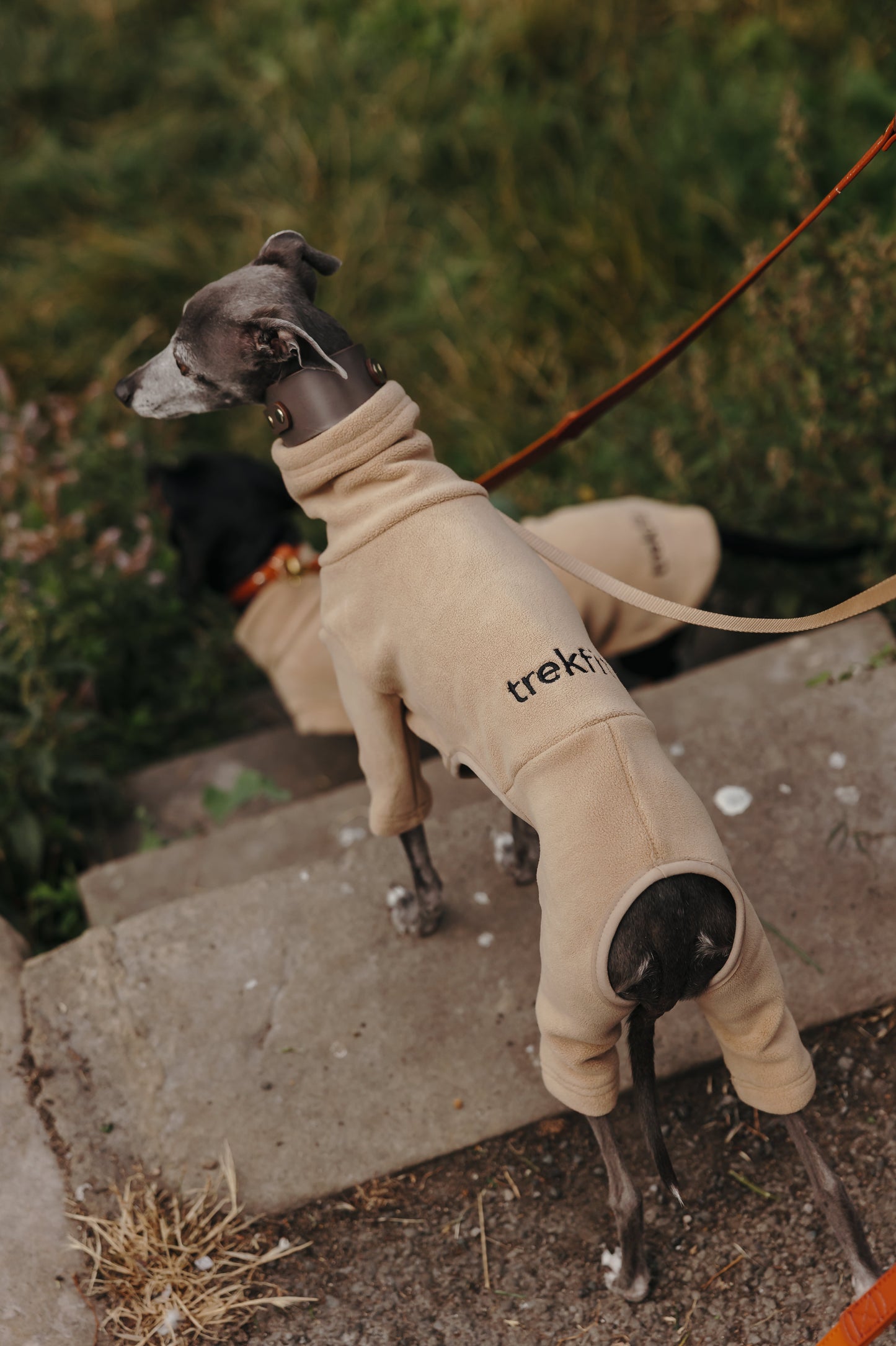 Italian Greyhound & Whippet Fleece Latte