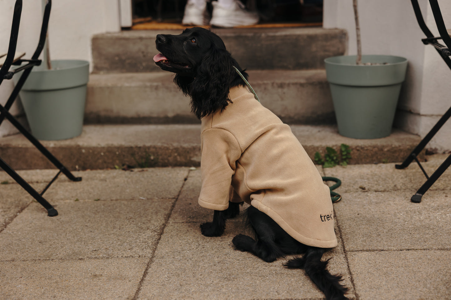 2 Leg Dog Fleece Latte