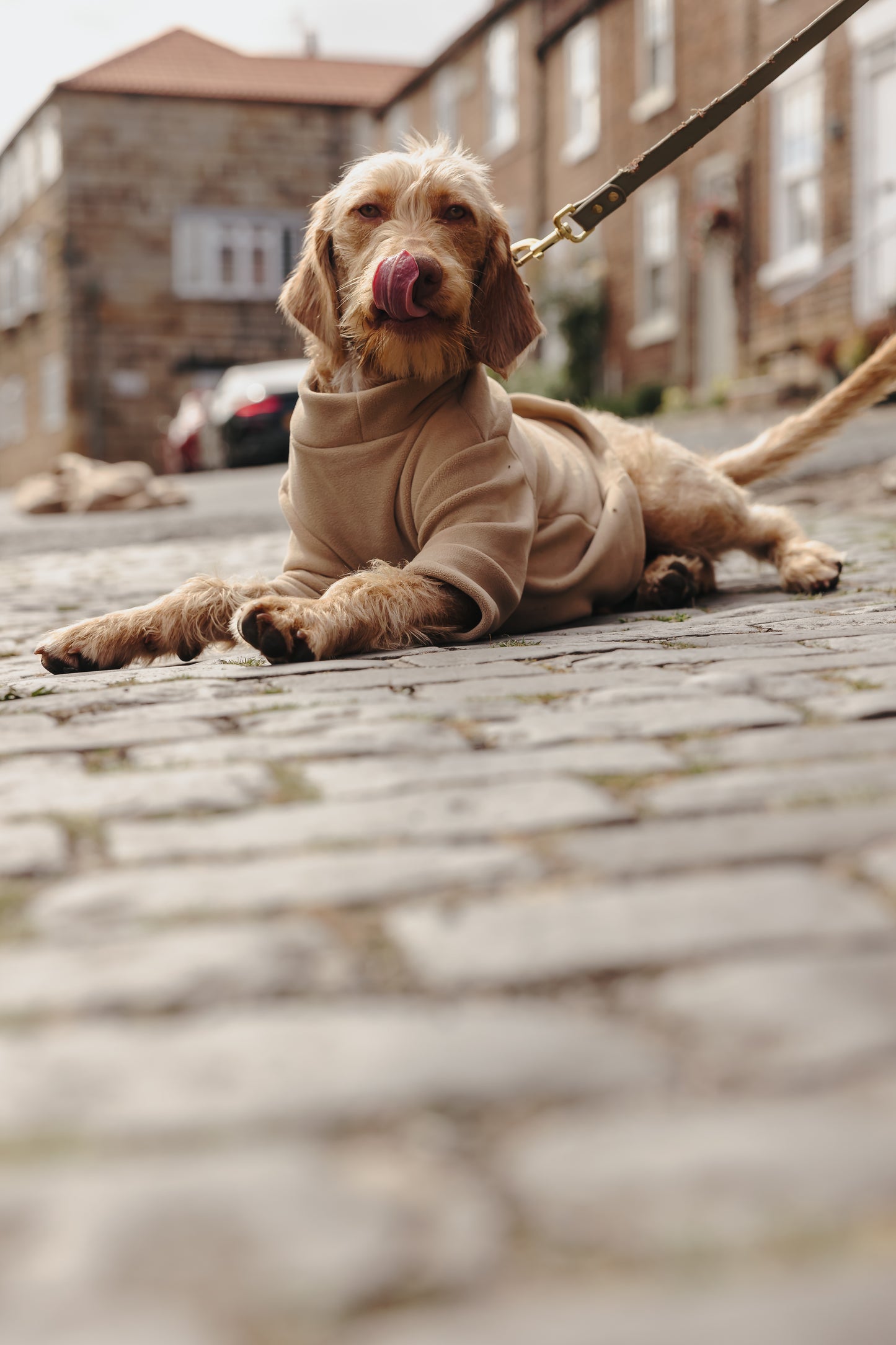 2 Leg Dog Fleece Latte