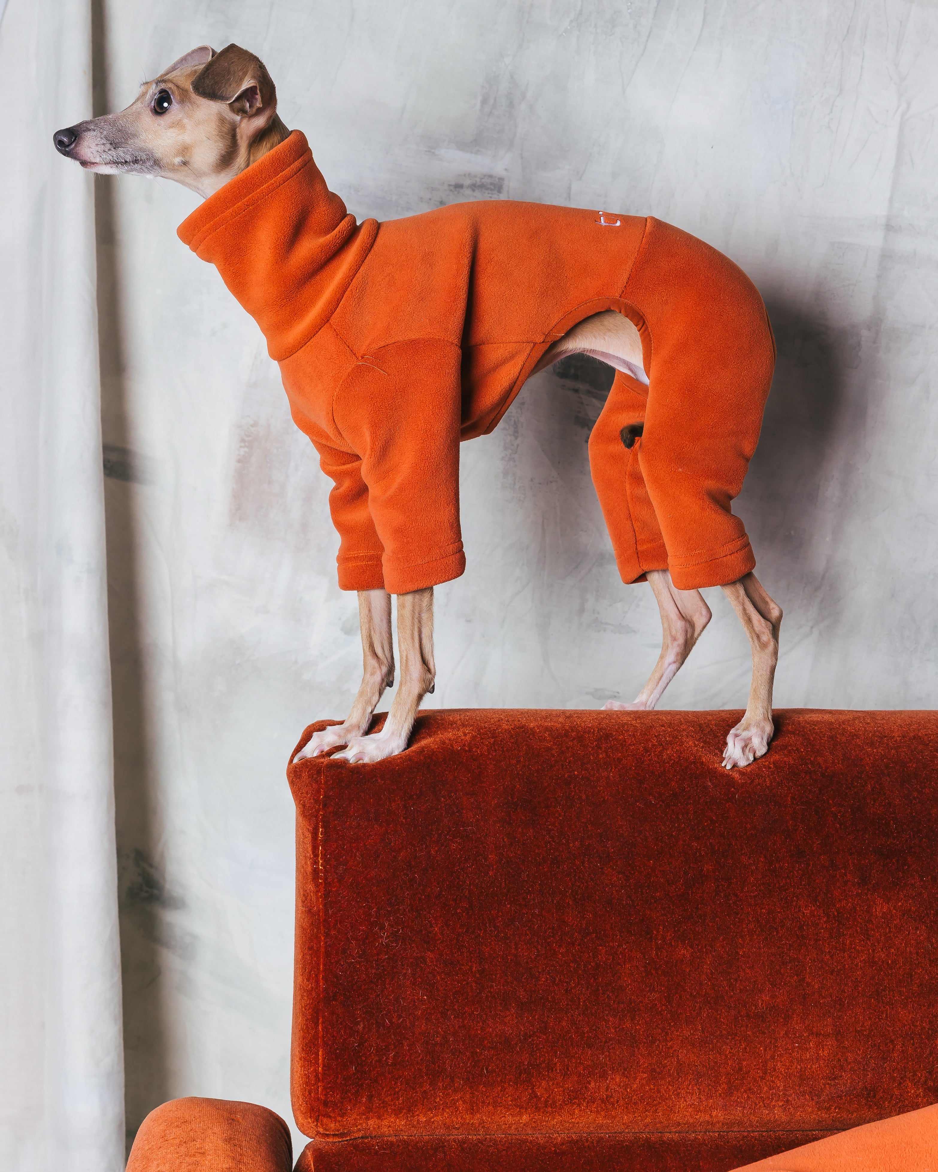 Italian Greyhound Whippet Fleece Cinnamon Spice – trekfit