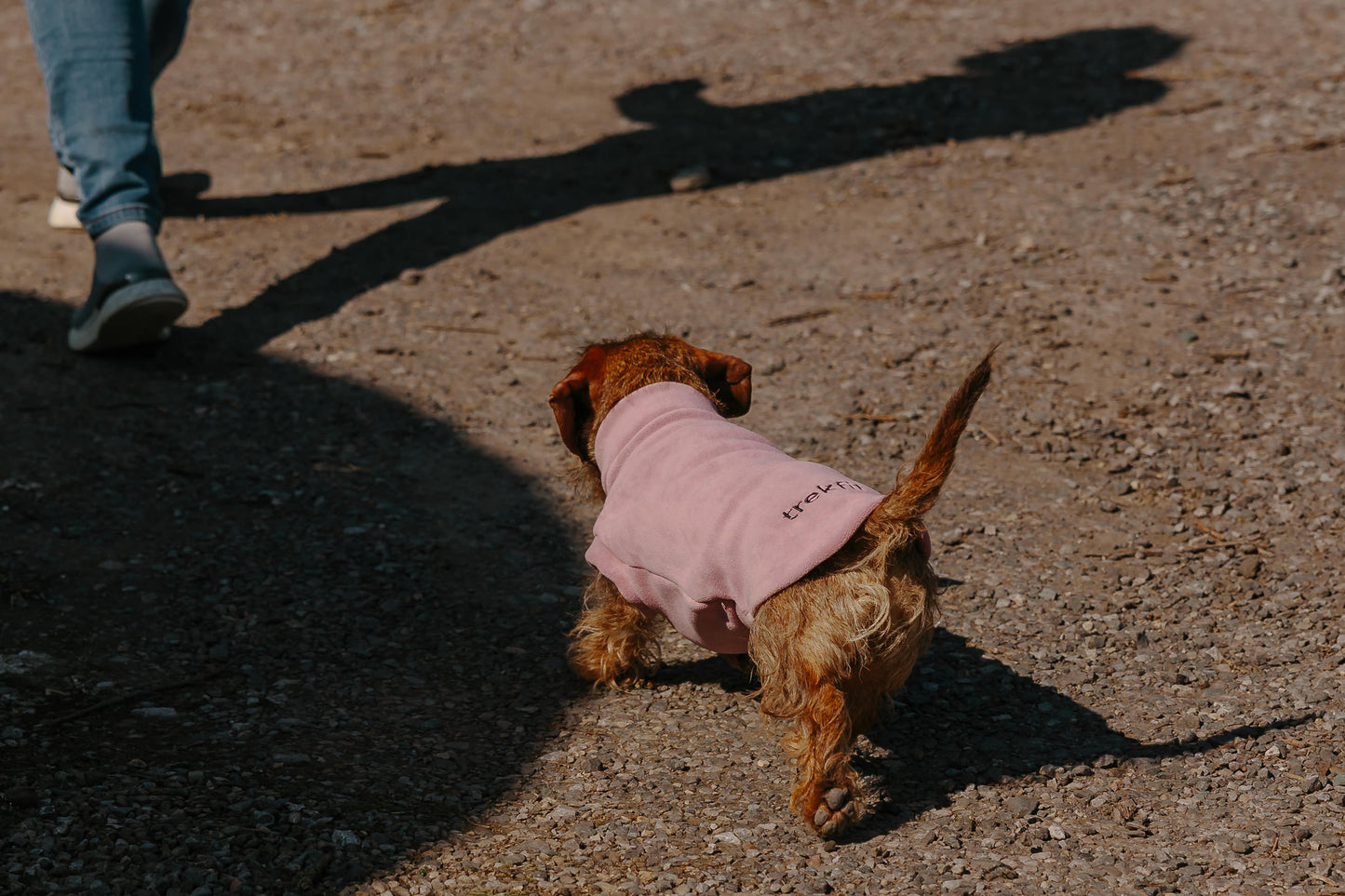 Dachshund Fleece Hibiscus