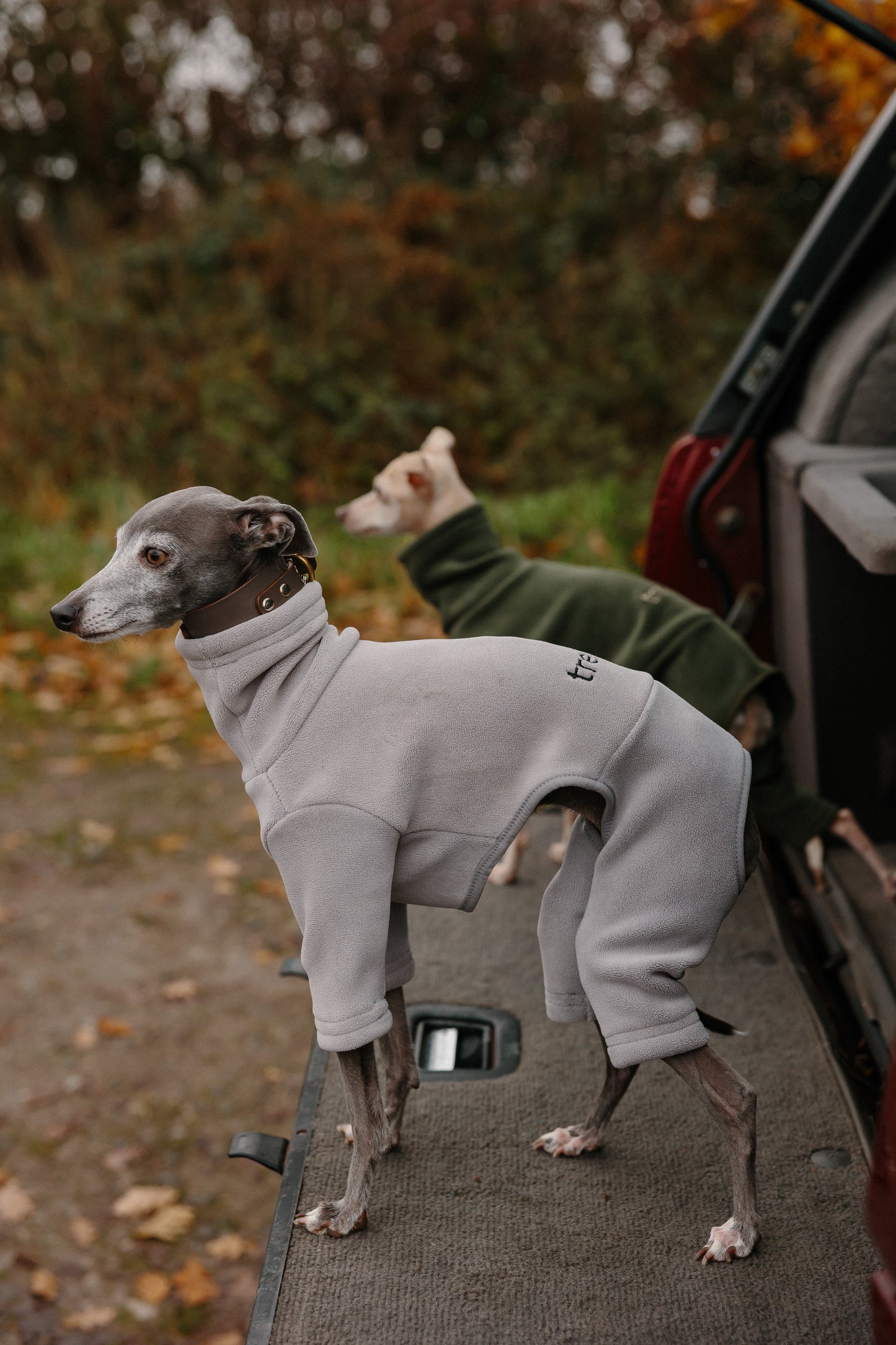 Italian Greyhound & Whippet Fleece Earl Grey