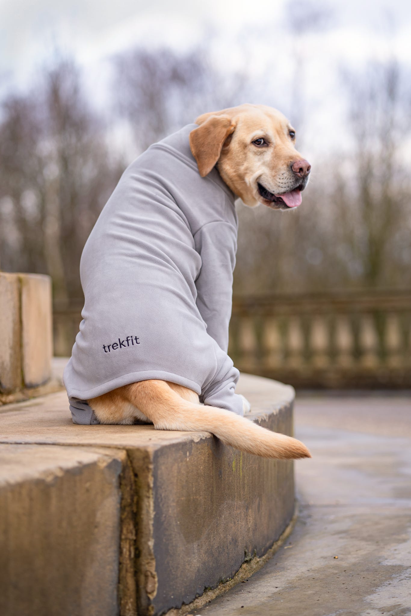 4 Leg Dog Fleece Earl Grey