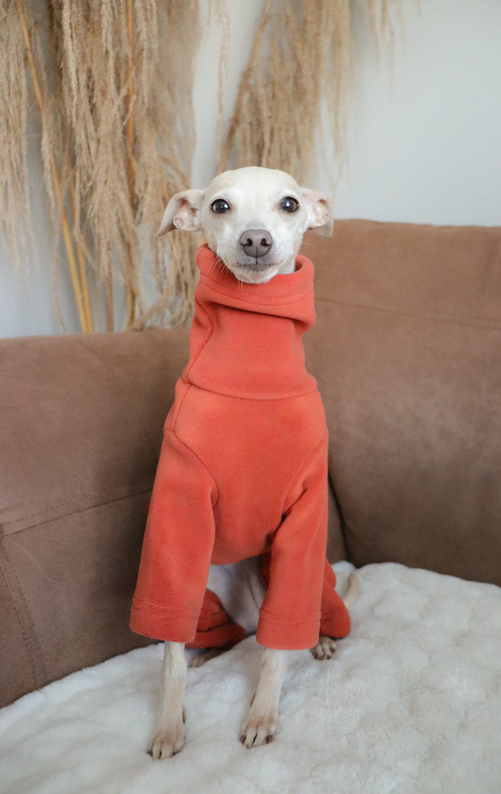 Italian Greyhound & Whippet Fleece Cinnamon Spice