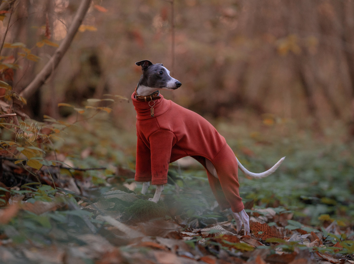 Italian Greyhound & Whippet Fleece Cinnamon Spice