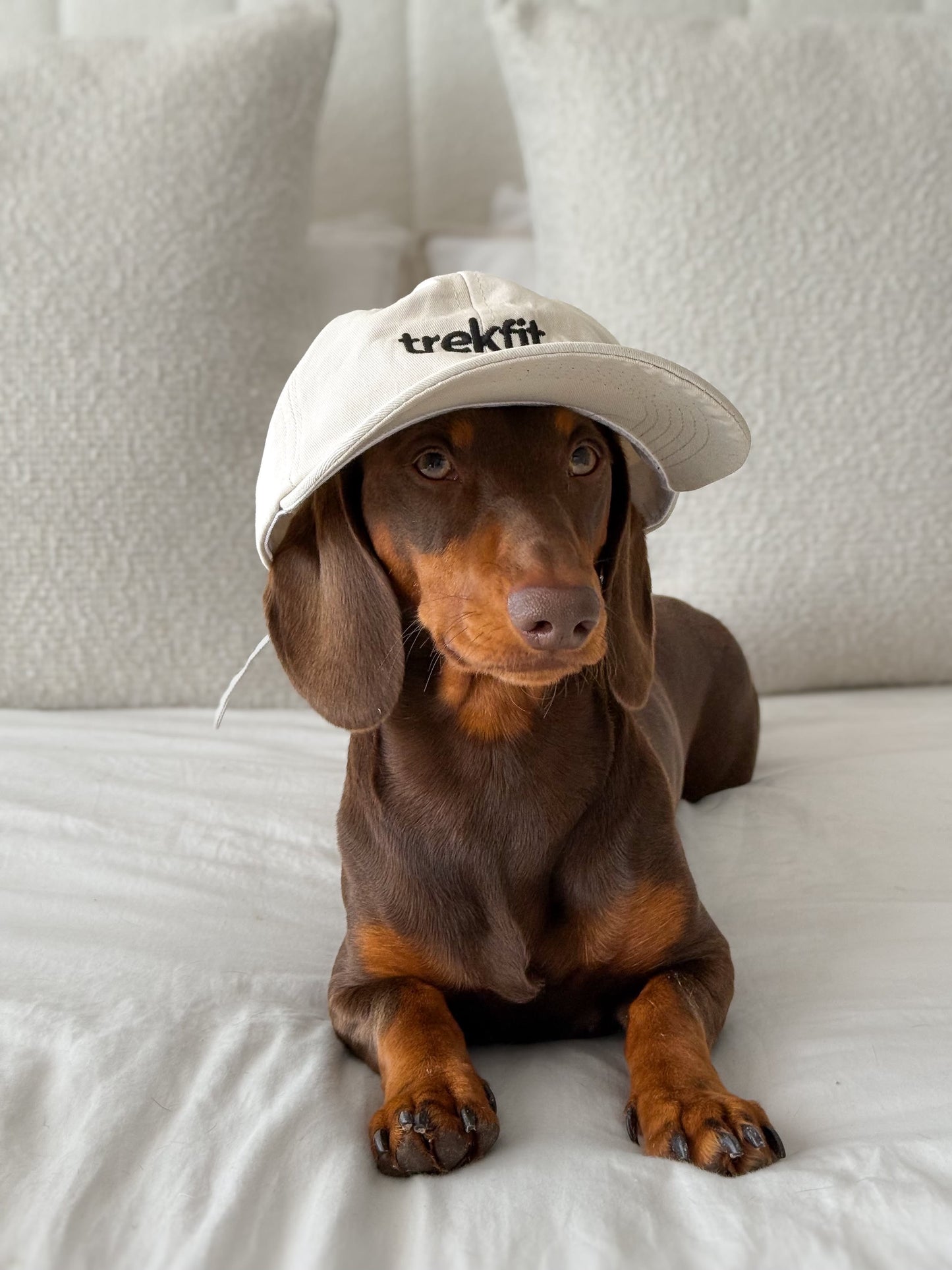 Trekfit Cream Cap