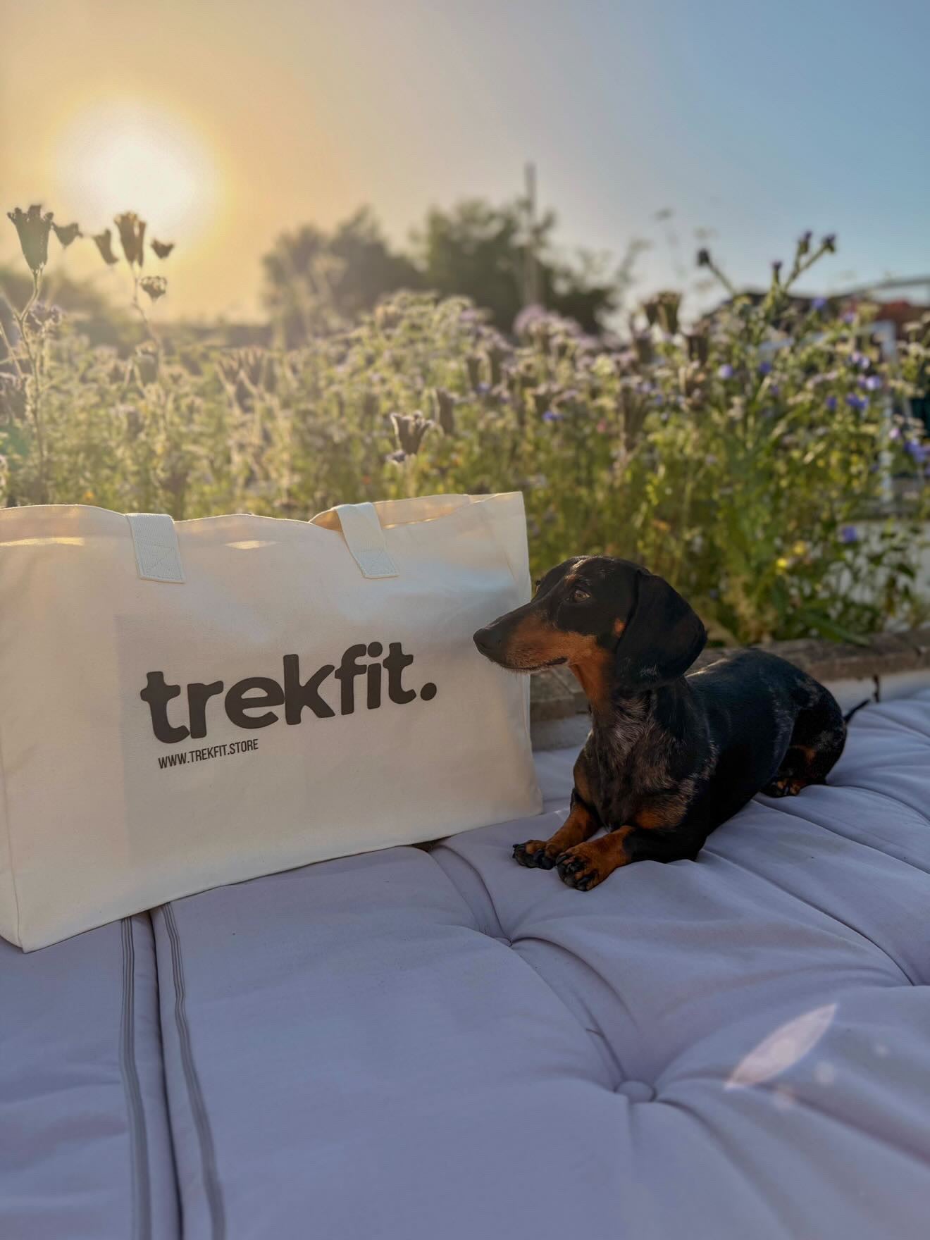 Trekfit Tote Bag