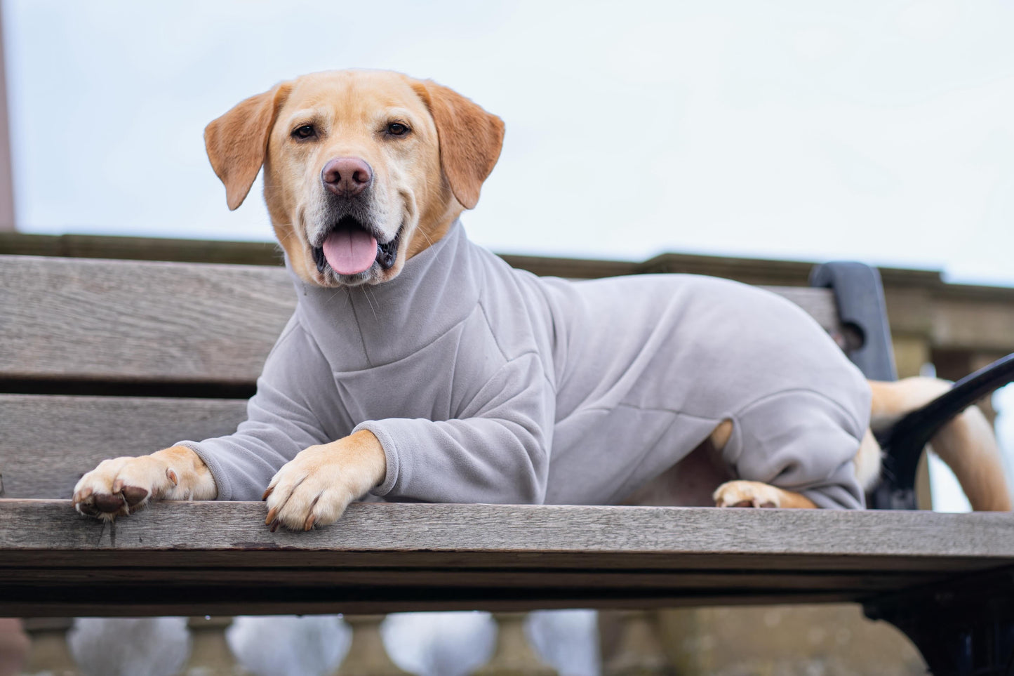 4 Leg Dog Fleece Earl Grey