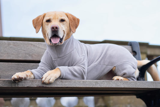 4 Leg Dog Fleece Earl Grey