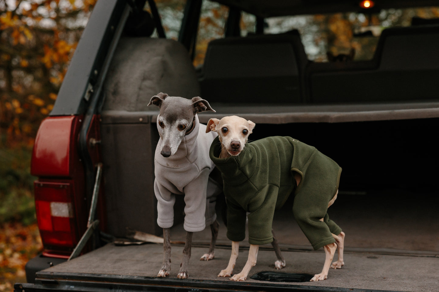 Italian Greyhound & Whippet Fleece Earl Grey
