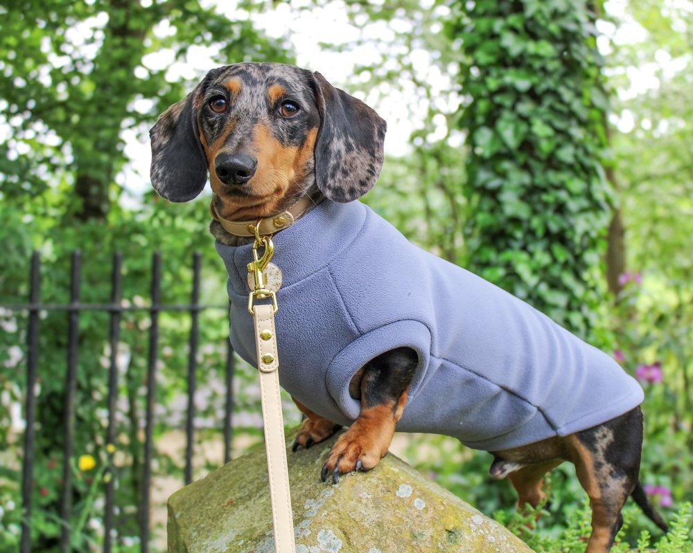 Dachshund Fleece Powder Blue