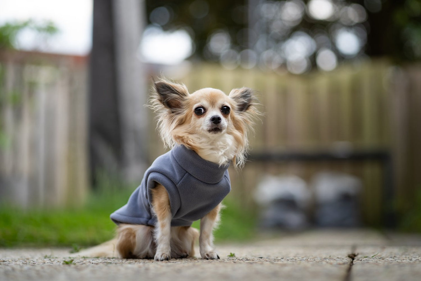 Dachshund Fleece Powder Blue