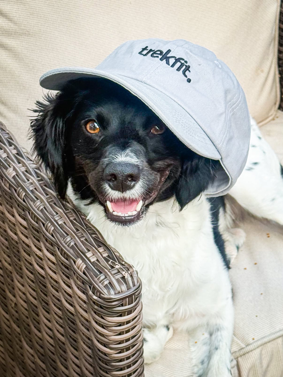 Trekfit Grey Cap