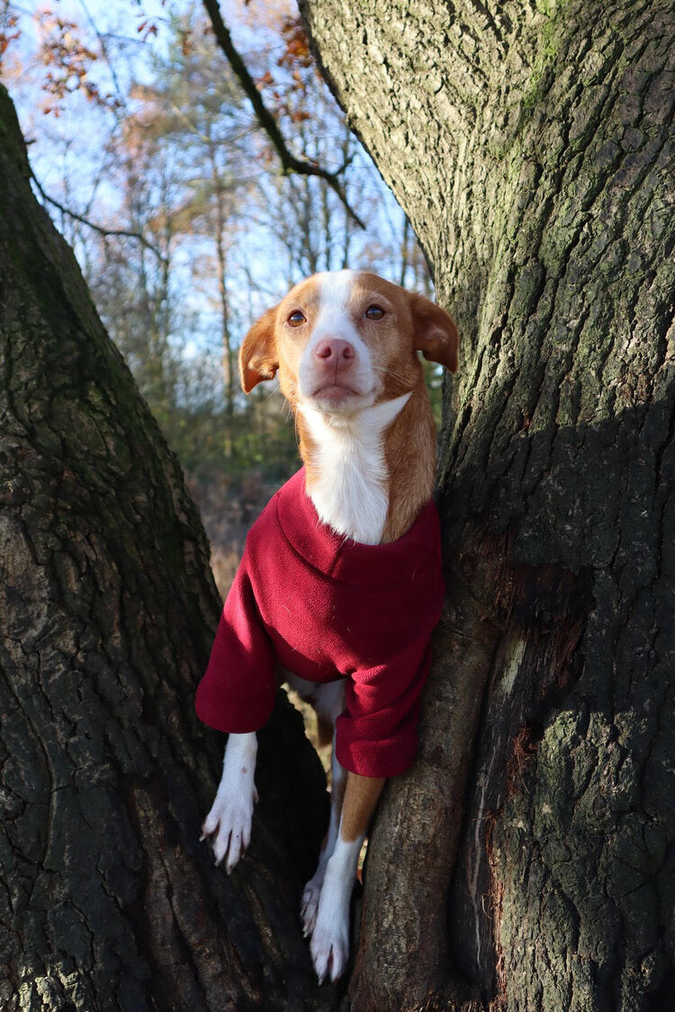 2 Leg Dog Fleece Merlot