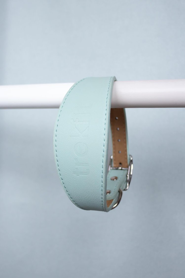 Powder Blue  Sighthound Collar