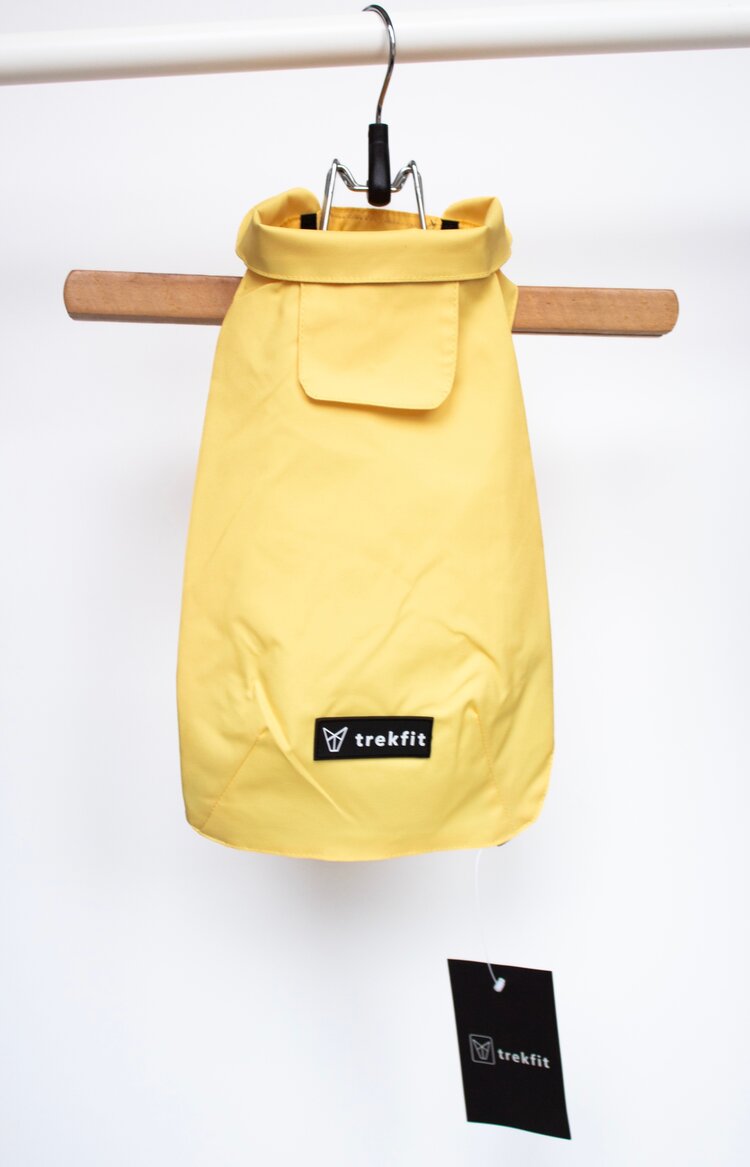 Dachshund Raincoat Lemon