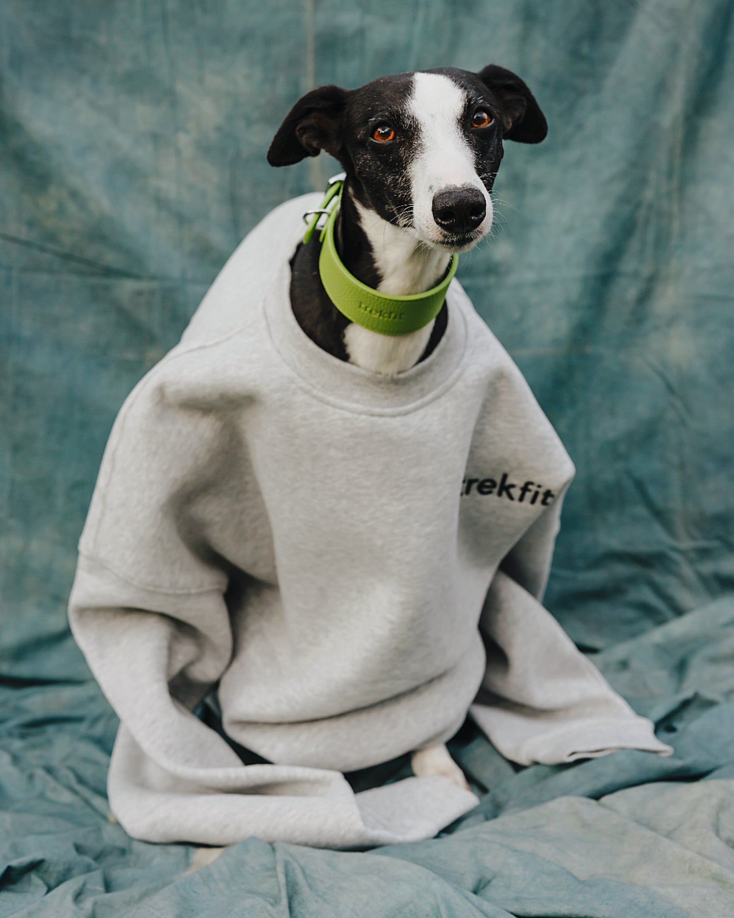 Grey trekfit Sweatshirt