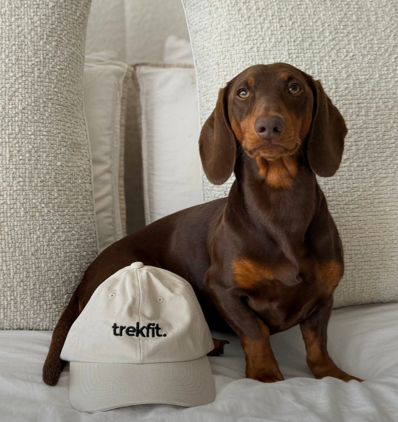 Trekfit Cream Cap