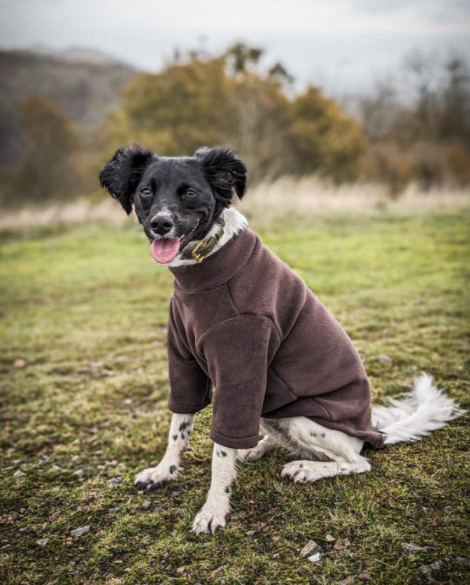 2 Leg Dog Fleece Chocolate