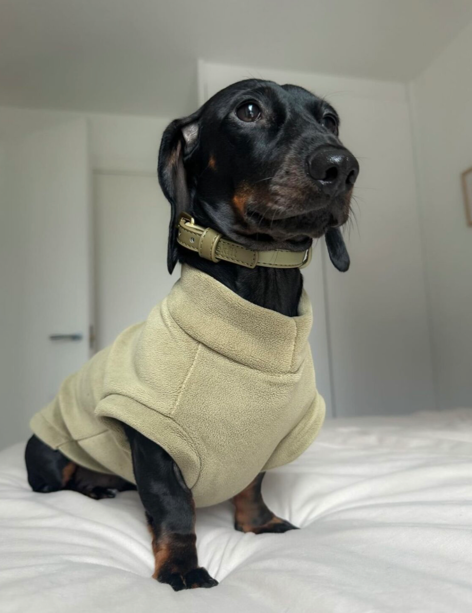 Dachshund Fleece Pistachio