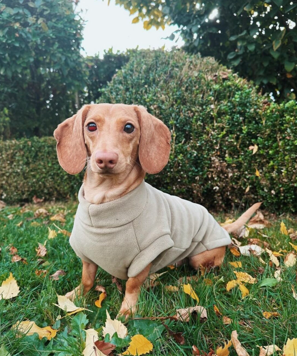 Dachshund Fleece Pistachio