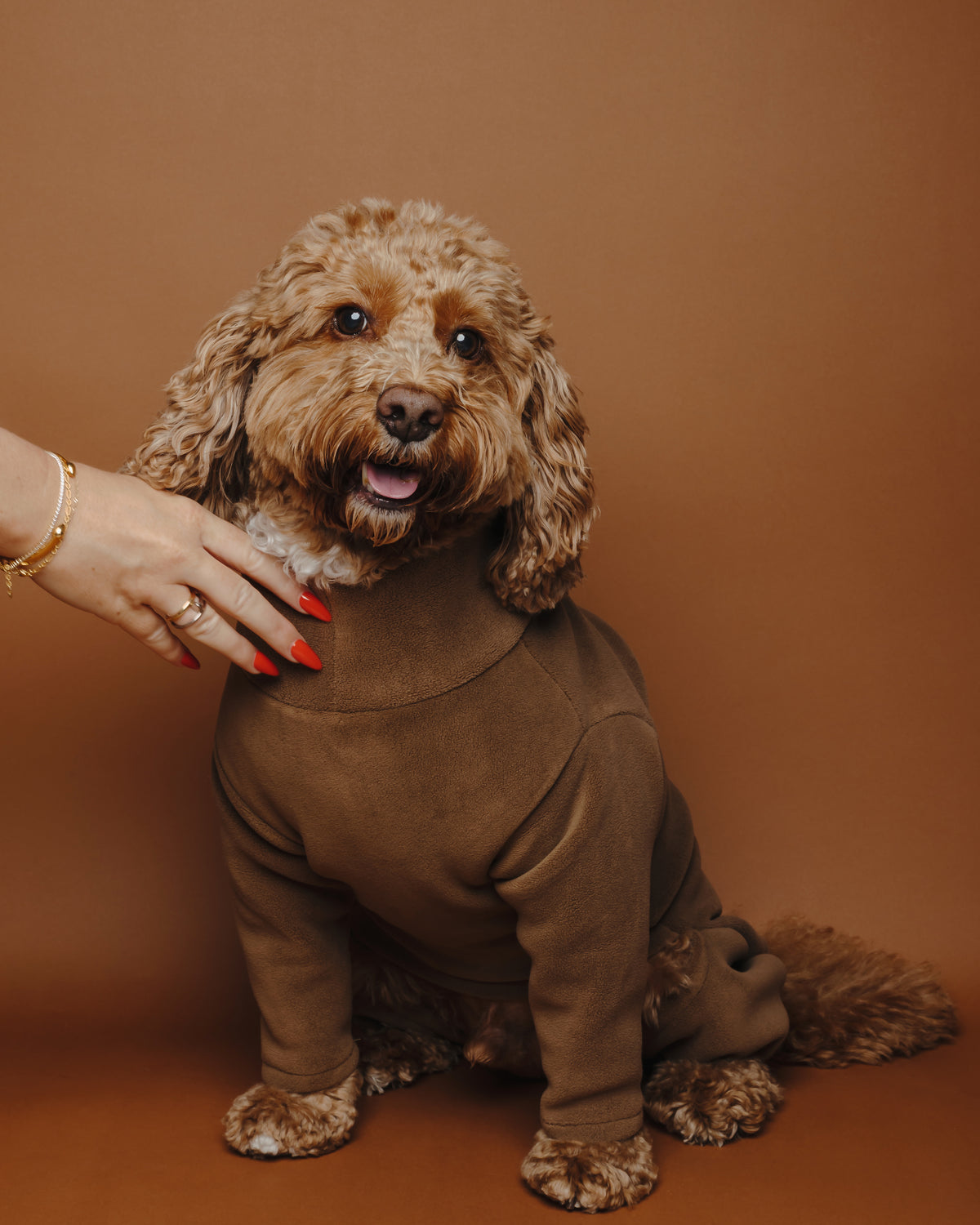 4 Leg Dog Fleece Chocolate