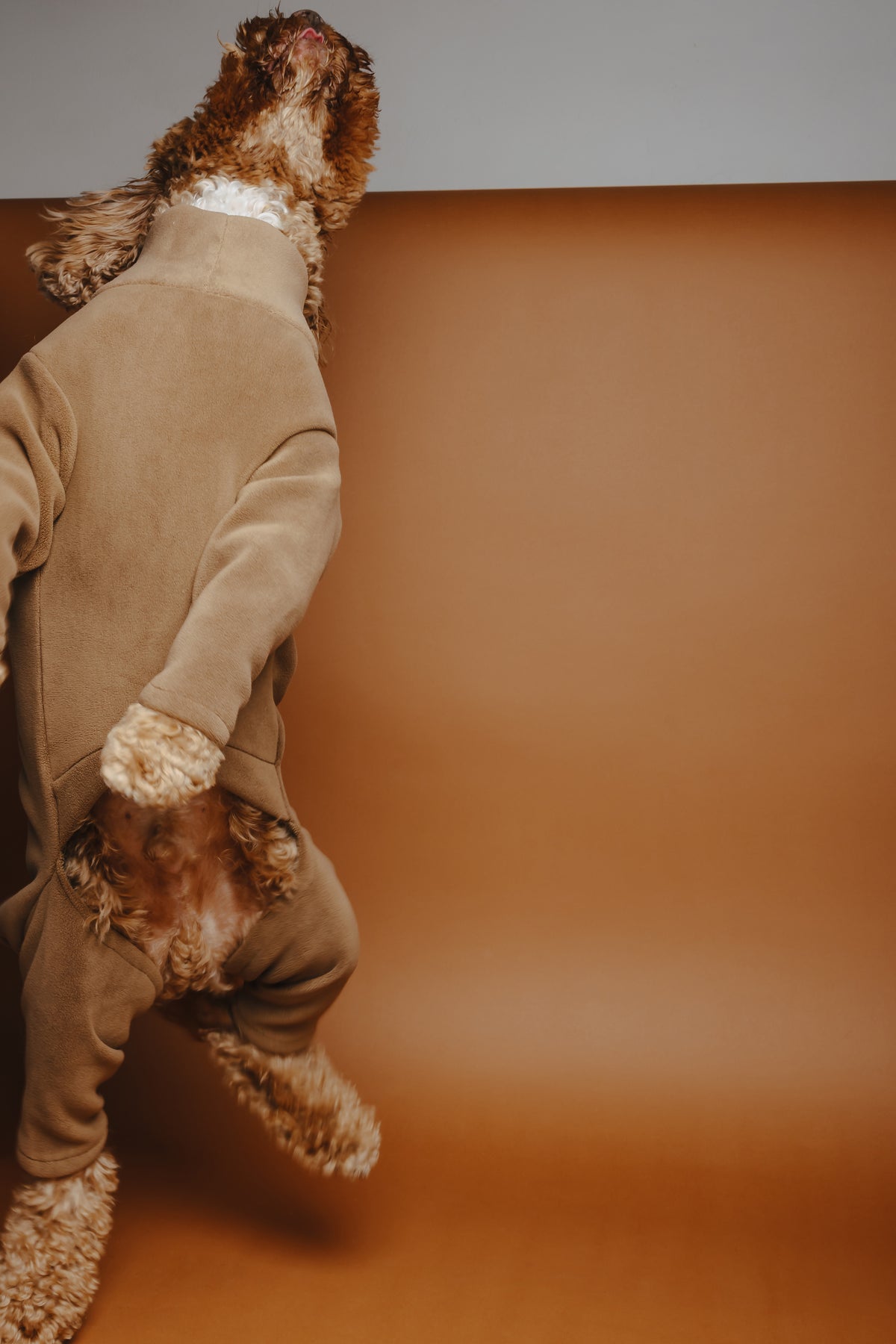4 Leg Dog Fleece Chocolate