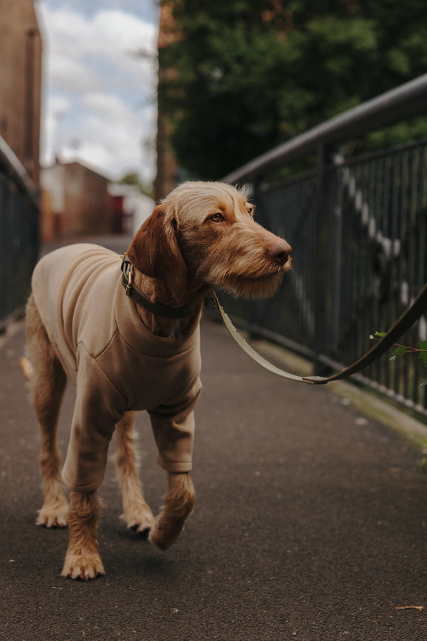 2 Leg Dog Fleece Latte