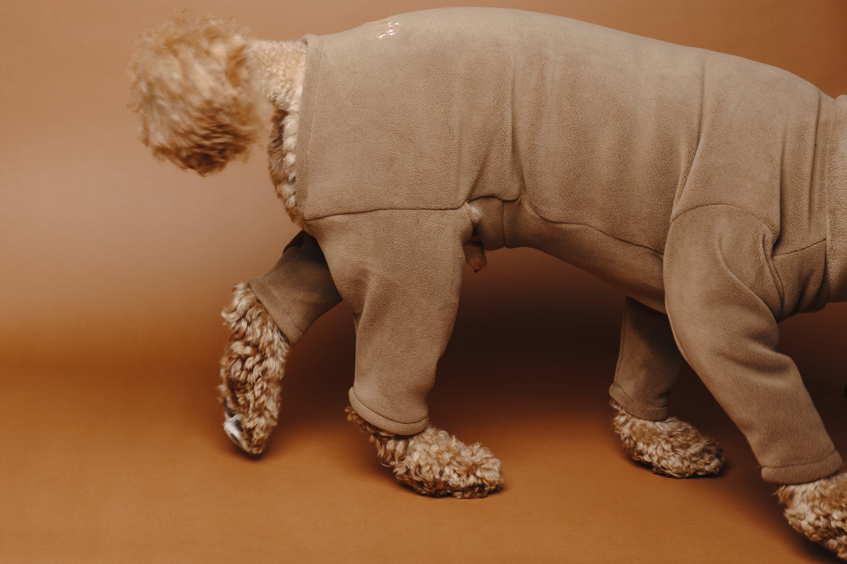4 Leg Dog Fleece Chocolate