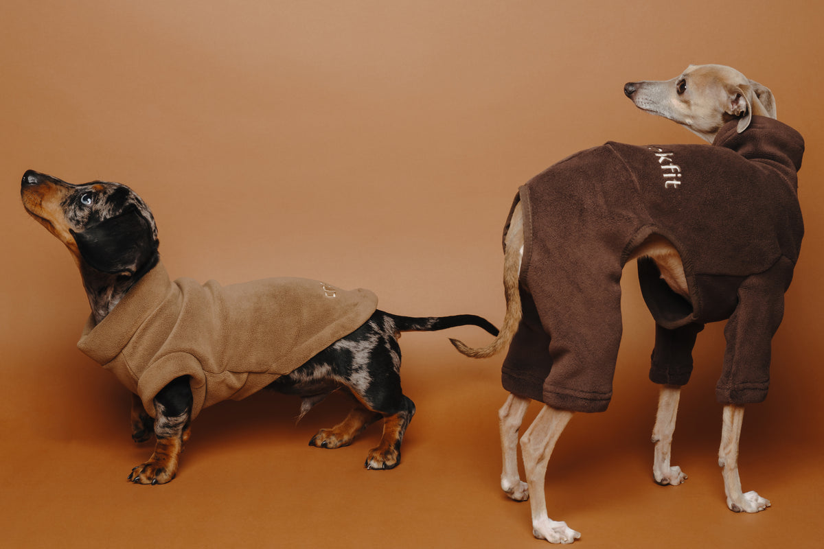 Italian Greyhound & Whippet Fleece Chocolate