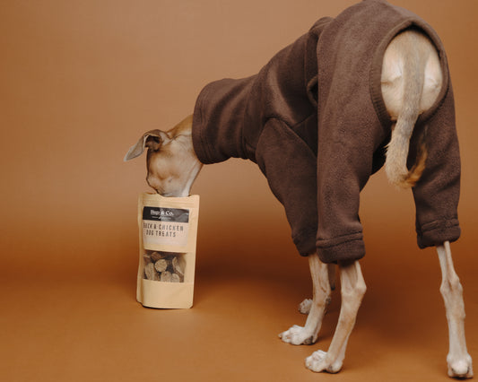 Italian Greyhound & Whippet Fleece Chocolate