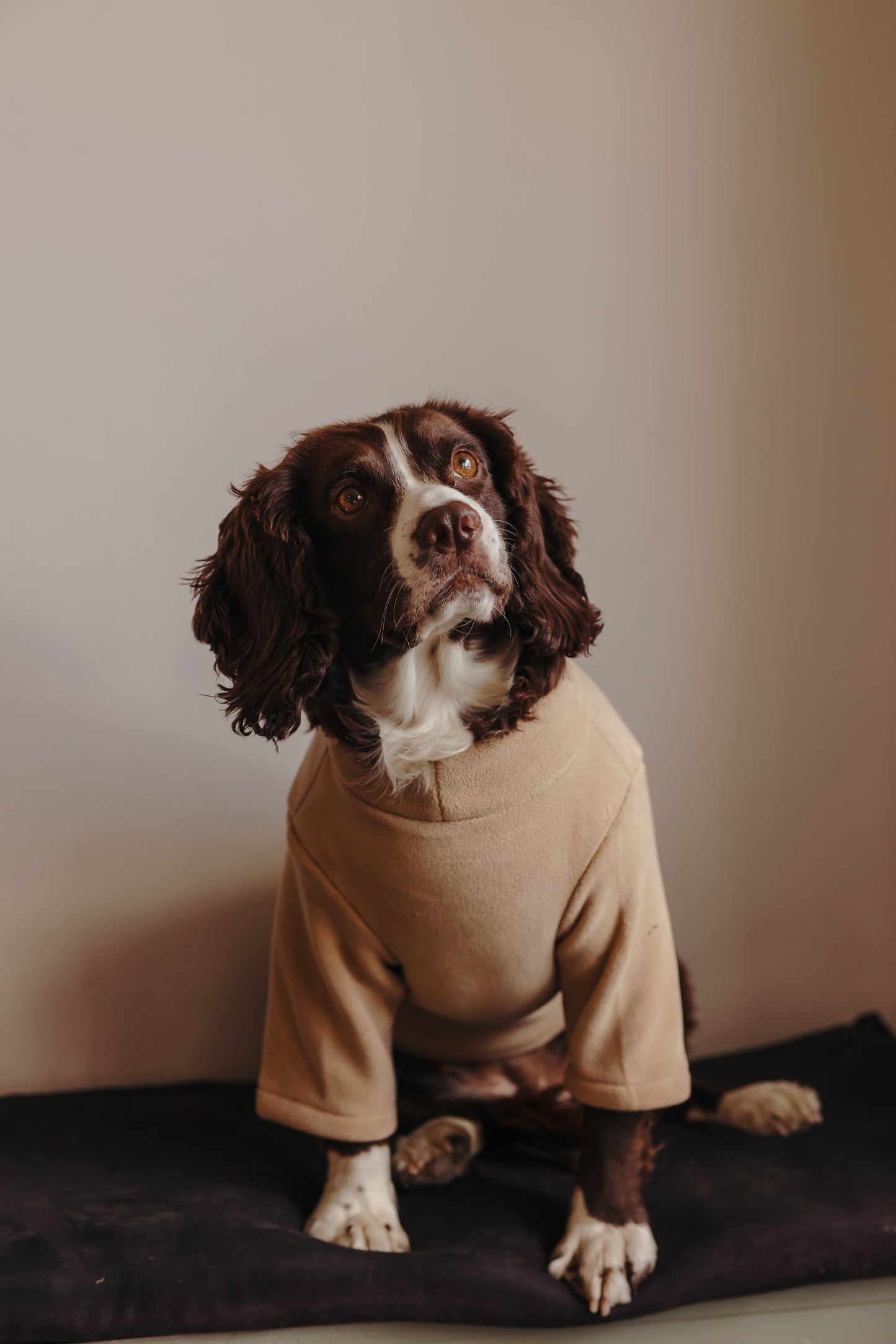 2 Leg Dog Fleece Latte