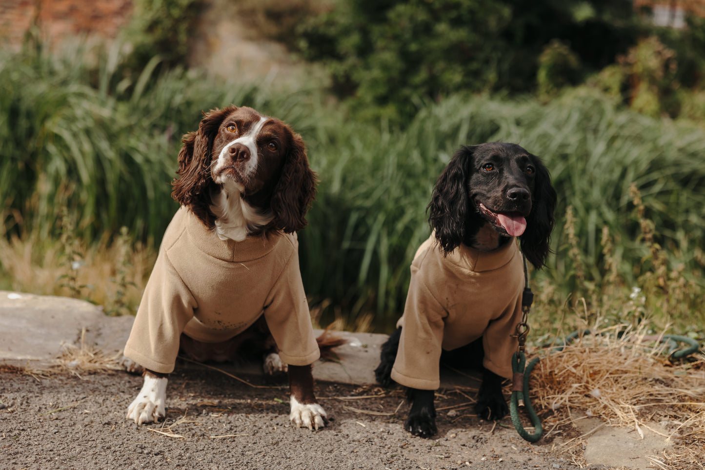 2 Leg Dog Fleece Latte
