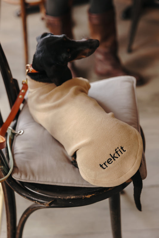 Dachshund Fleece Latte