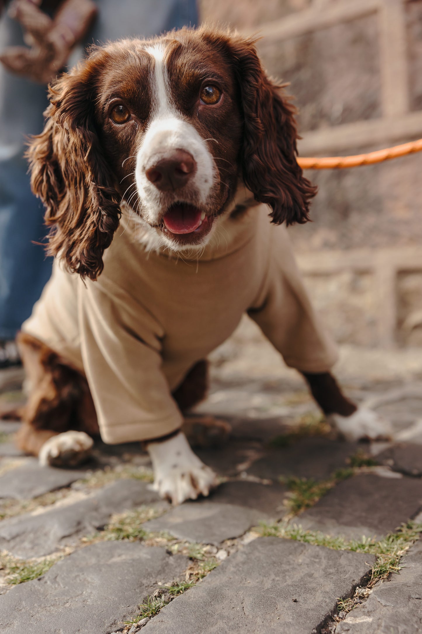 2 Leg Dog Fleece Latte