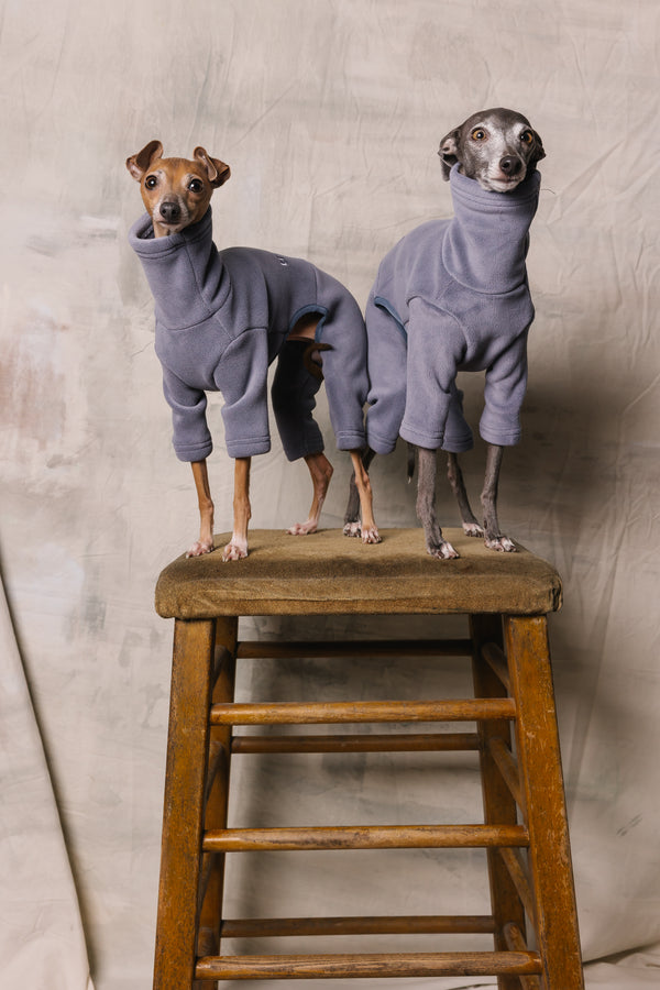 Italian Greyhound & Whippet Fleece Powder Blue