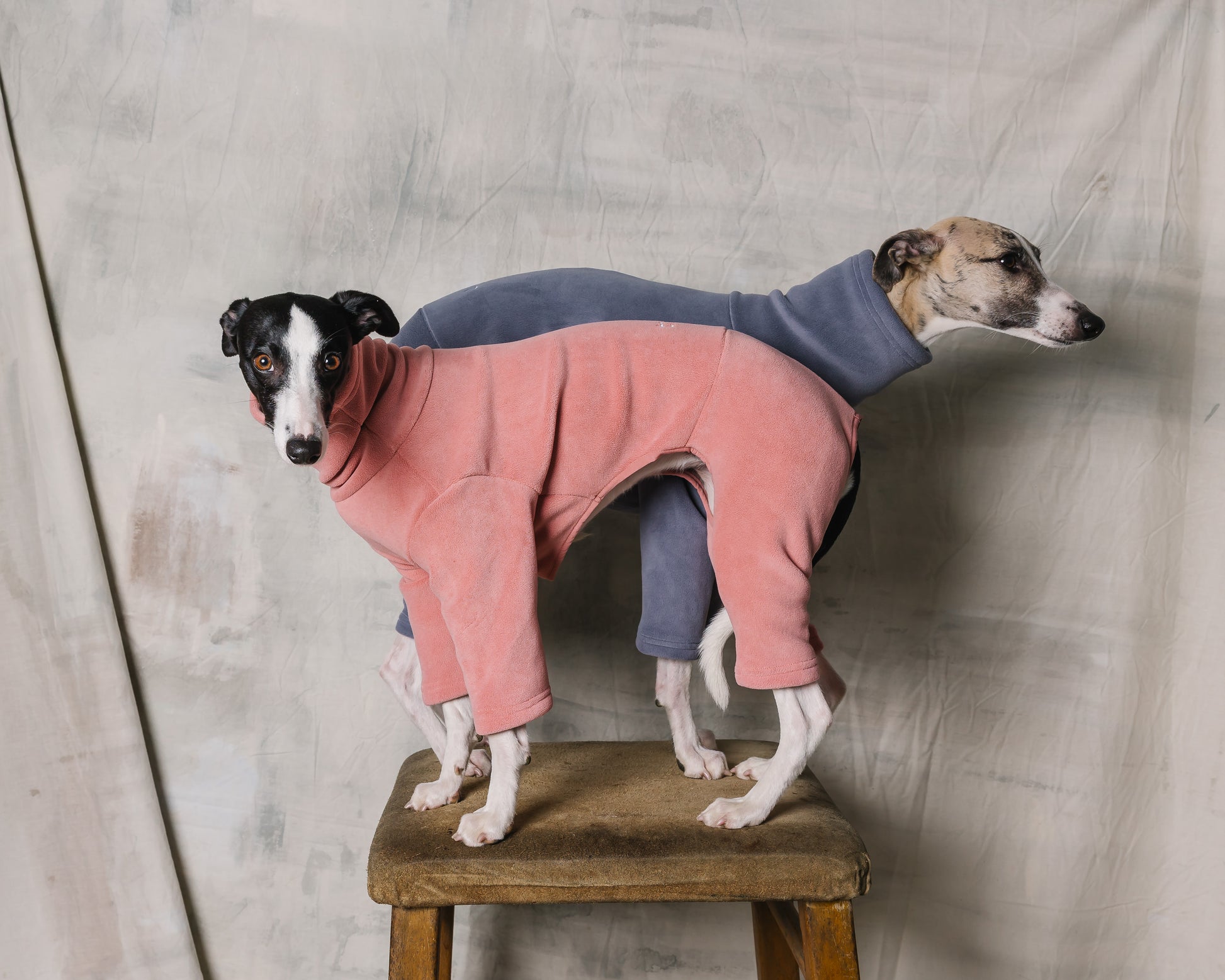 Italian Greyhound Whippet Fleece Powder Pink XXS - Main Image
