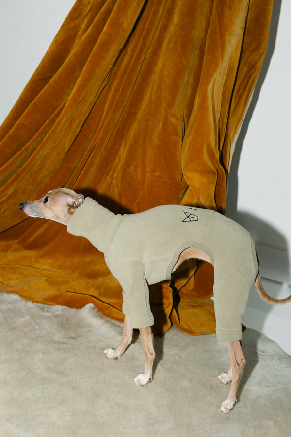 Italian Greyhound & Whippet Fleece Pistachio