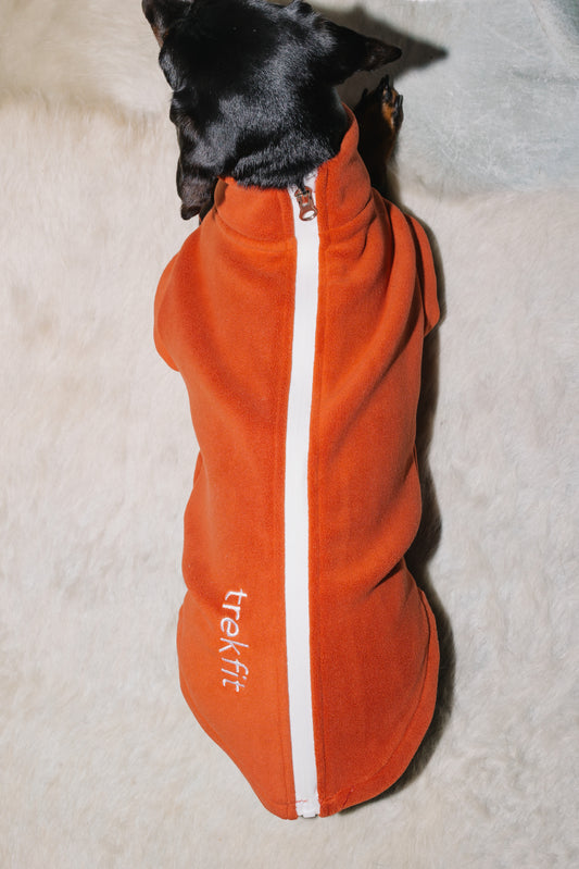 Dachshund Fleece Cinnamon Spice