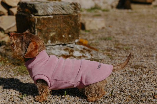 Dachshund Fleece Hibiscus