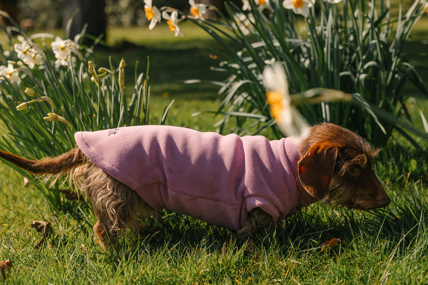 Dachshund Fleece Hibiscus