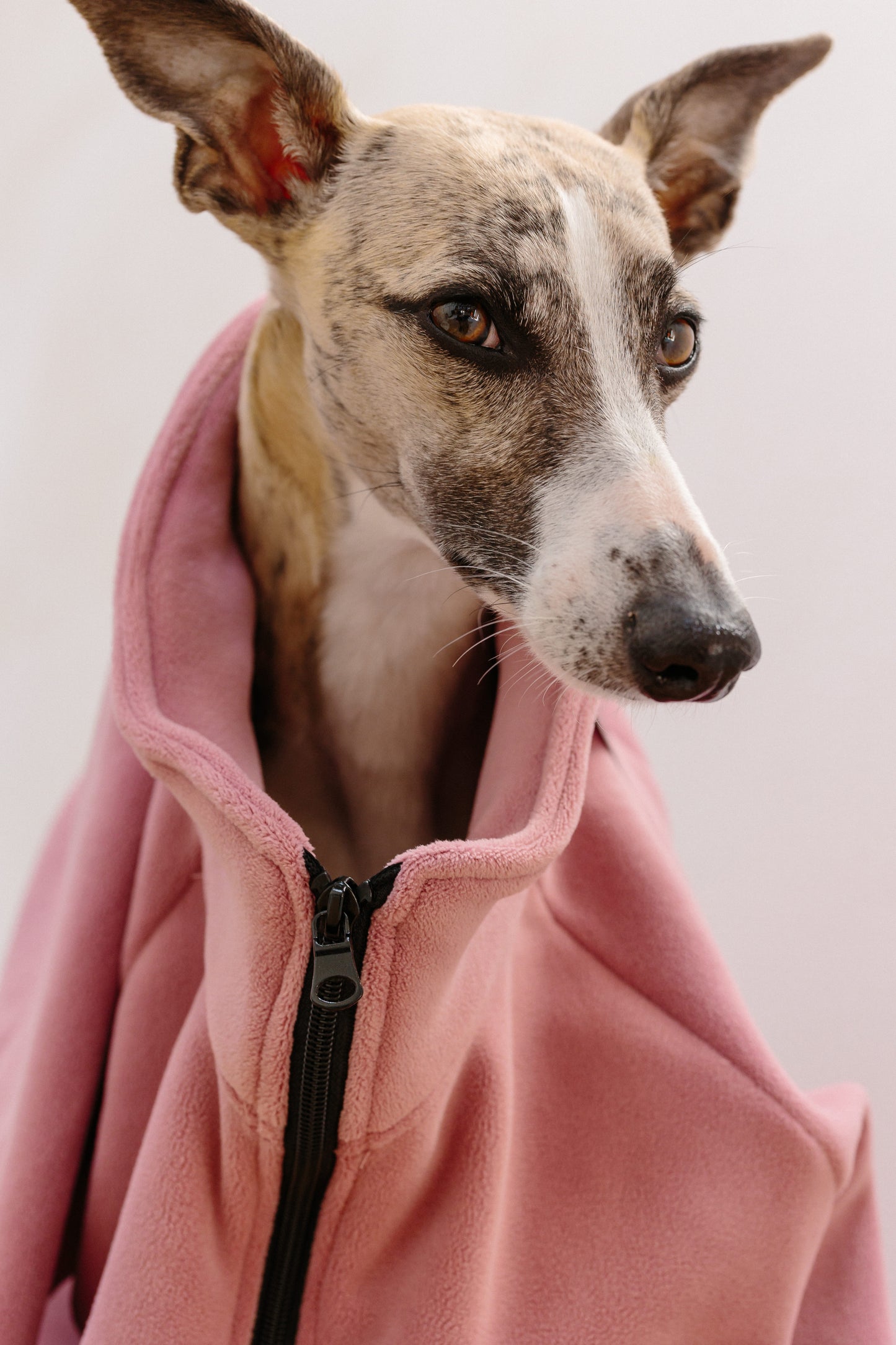 Unisex Human Fleece Hibiscus